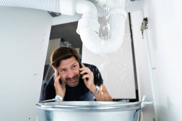 Best Toilet Repair Services  in Sylvania, GA