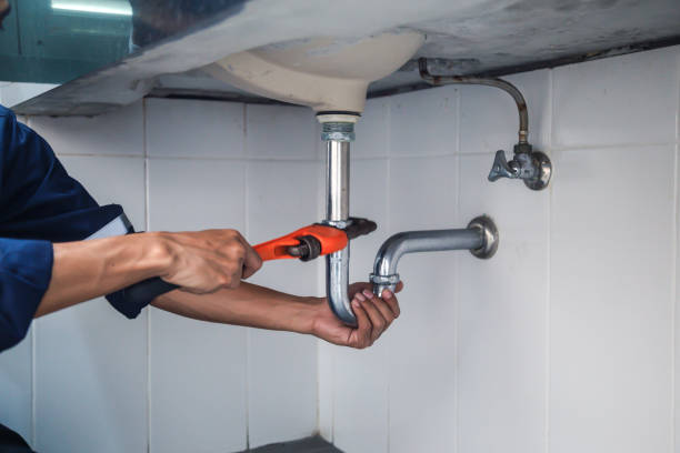 Best Clogged Drain Plumber  in Sylvania, GA